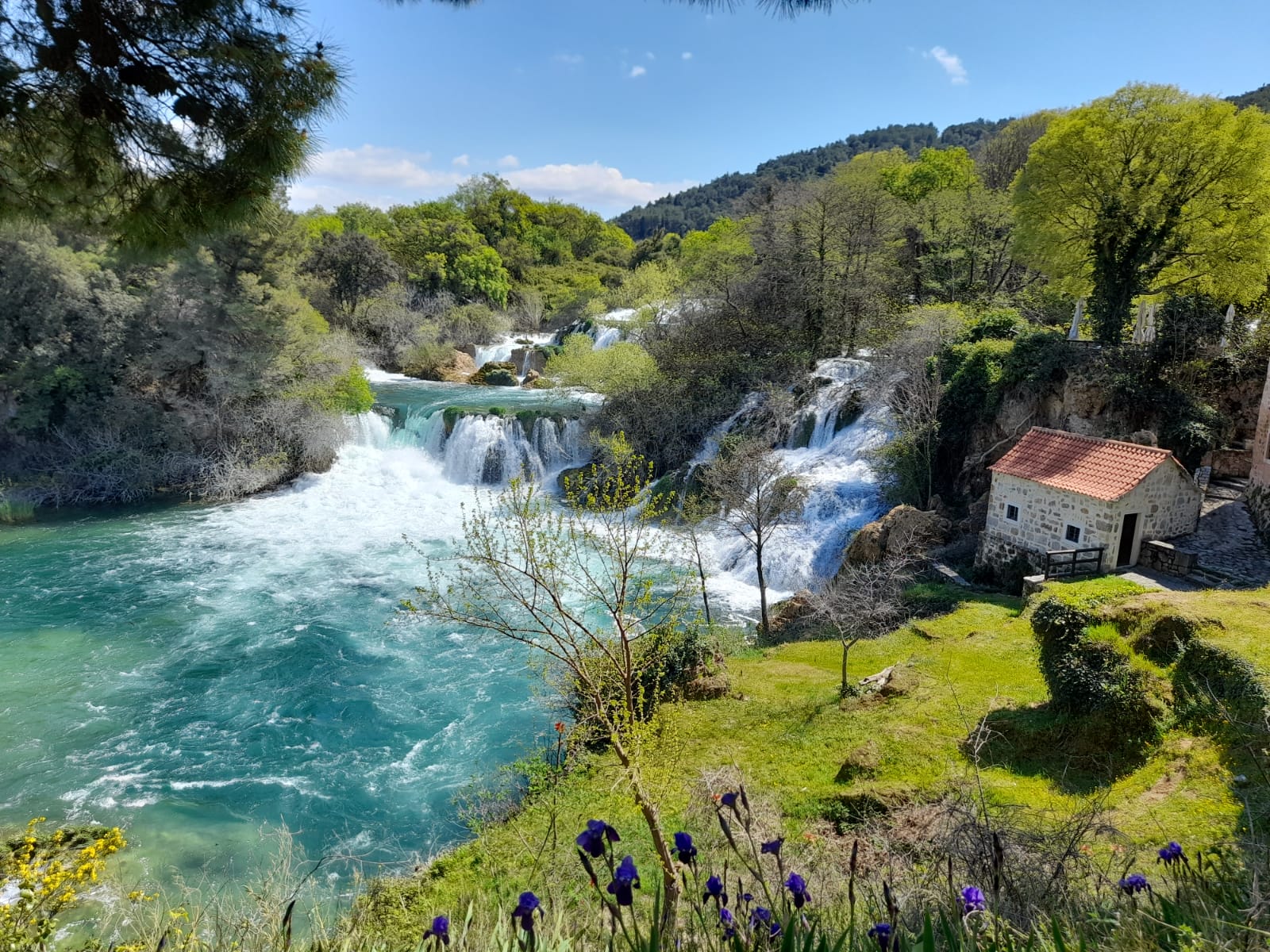 Magnificent scenes of the Krka River as seen through the eyes of our staff  - NP Krka